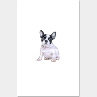 Life is better with a French Bulldog! Especially for Frenchie owners! Posters and Art